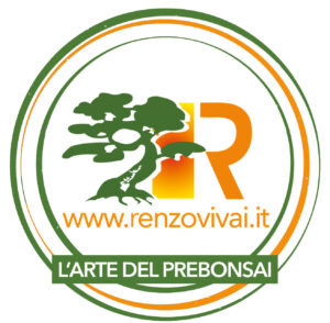 Renzo Vivai - Vendita PreBonsai in Italia - Azienda Italiana Renzo Vivai - Vendita PreBonsai in Italia - Azienda Italiana
